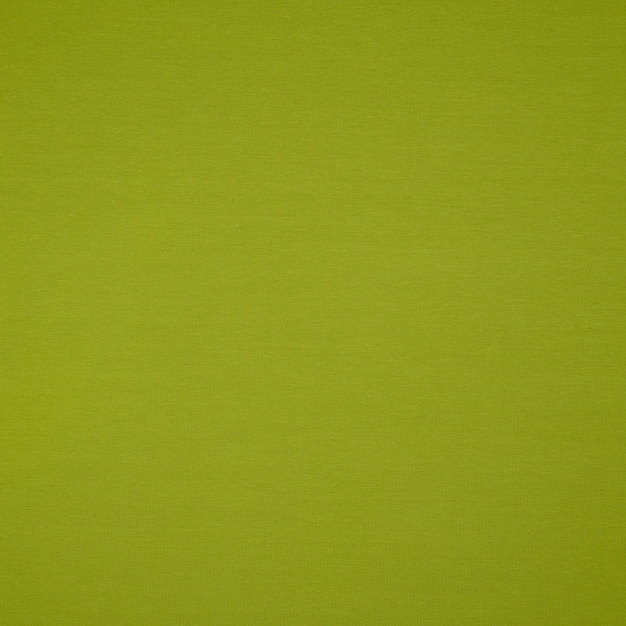 Essential Chic ivy Green Cotton Jersey Fabric