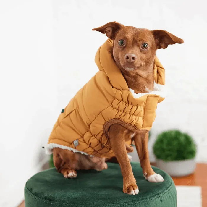 GF Pet Super Puff Parka Yellow For Dogs