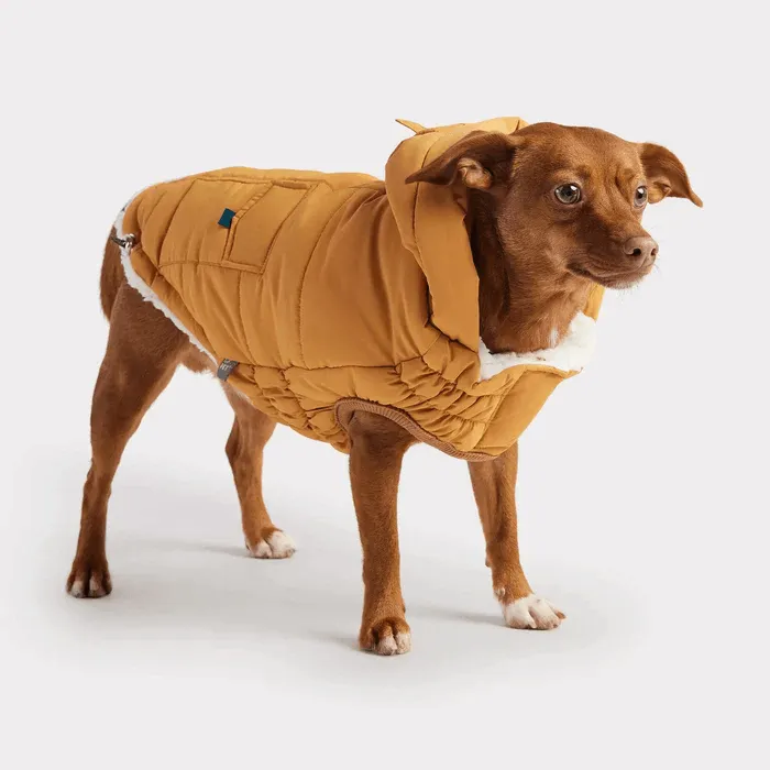 GF Pet Super Puff Parka Yellow For Dogs