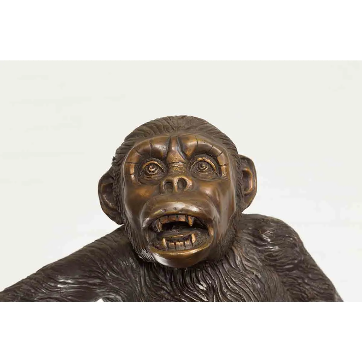 Monkey Business